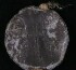 D003